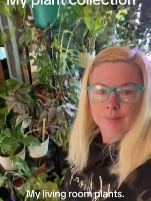 Hi I’m casey and I have a plant problem lol. #fyp #foryourpage #hippie #hippietok #hippielife #hippiestyle #hippievibes #hippiemom #✌️☮️♥️ #plantproblems #plants #houseplants 