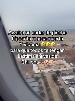 Te arde el culo porque con uno nunca podrás 🤣🤣🤣🐽🤡💩🤬PNDJA CULO DESINFLADO#soylameraverga🔥😎 #soytutrauma #ytu #eresmiburla🐩😜😝 #sitequedaelsacopontelo😂🤪😉 #📿🧿🍀 #ysoporta #fypシ゚viral🖤tiktok☆♡ 