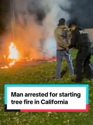 Azusa Police arrested a man for allegedly setting a tree on fire at a park in Azusa. While he has been charged with arson, the case is not connected to any of the major wildfires burning in Southern California. 🚨 ALERT: REPORT ARSON IMMEDIATELY 🚨 Arson is a serious crime that threatens lives, property, and communities. CAL FIRE and law enforcement are working tirelessly to prevent and prosecute these dangerous acts—but we need your help. ⚠️ If you see something suspicious, ACT FAST! 📞 Call the CAL FIRE Arson Hotline: 1-800-468-4408 📍 Or contact one of the numbers listed in the graphic. Your vigilance could stop a fire before it starts. Don’t hesitate—your report could save lives. Together, we can protect our communities. #FireAlert #StopArson #CALFIRE #californiawildfires #staysafela #palisadesfire . #azusa #arrest #fire #ca 