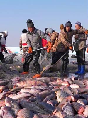 The winter fishing season kicked off in Shenyang City, the capital of northeast China's Liaoning Province. Watch the video to learn more. #winter #fishing #fishery #ice