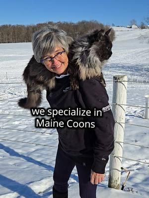 Maine Coon Sabastian with owner Kathy with #kathyskattery #windyhillpets.com #mainecoon #bigcats #gentlegiants