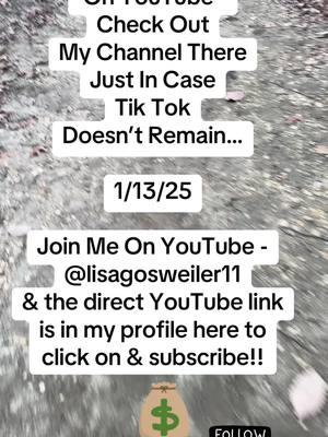 Just In Case We Need It Here Is My YouTube Channel Info @lisagosweiler11. #studentloans #s#studentloandebts#studentloanforgivenessstudentloan #usdeptofeducation #youtube #tiktok #dontbantiktok #notiktokban #keeptiktok #savetiktok 