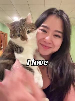 I love you to the moon & beyondddd Suki 🥰🥰🥰 & Kabuki too, she gets a separate post 🩶 #fyp #viral #sukipurrs #catsoftiktok #catmom #funnycats #catmemes #crazycatlady #catlover #cattok #britishshorthair #derpycats #sadcat #cutecats 