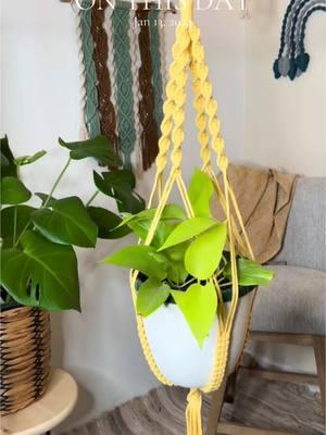 🐶Fun fact- I created this plant hanger and one in blue specifically with my dogs in mind. That one dog filter said they could see yellow and blues and just incase it was true, I wanted them to be able to enjoy some extra color hanging around the house.  • I also have these available on my Etsy if you would like some for you and your pets! • #macrame #macrameartist #macramedecor #macrameplanthanger #doglover #plantlover #plantaddict #macramelove #plantdecor #angscraftsncreations 