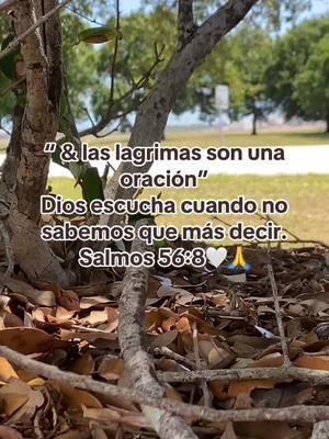 🤍 #bendecido #amen #amen🙏 #ora #tupuedes #lucha #esfuerzate #jesus #tiempo #yeshua 