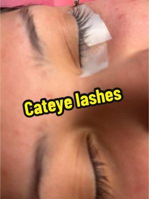 10cc 12cc 14cc 17D #lashesarelife #lashextensions #ladytrue90 #colorlashes #cateye 