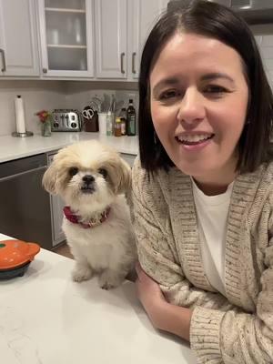 Gut healthy dog waffles @Native Pet #waffles #dog #dogsofttiktok #shihtzu #cook 