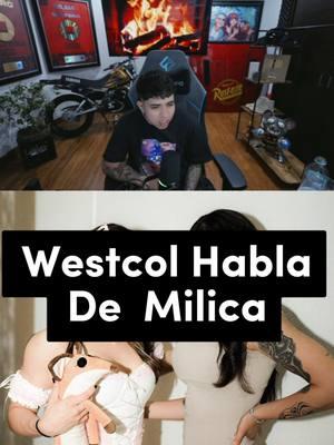 Westcol Habla De  Milica #westcol #westcolclips #westcoltiktoker #westcolkick #westcolombia #westcoltwitch #westcolumbia #westcolumbiasc #westcoltwichwescol #westcolparlante #westcolyspeed #milicatwitch #milicatwitch #milicayalana #milicaymazza #milicaylaqueso #milicaywestcol #clips #clipsdetwitch #clipstwitch #mejoresmomentos #mejoresmomentostwitch #mejoresmomentostwitchespaña #twitch #twitchstreamer #twitchclips #twitchtok #twitchmoments #twitchespaña #twitchespañol #twitchespañaclips #twitchespañolclips #twitchespaña🇪🇸 #viral #viralvideo #viraltiktok #foryou #parati #ftyp @twitchwestcol @west.col @westcolwonka @milica_yb @milicuwu @fans_milica