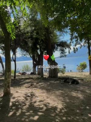 #CapCut #guatemala #panajachel #turismo#arboles #verano #perros #lagoatilan #lakeatitlan 