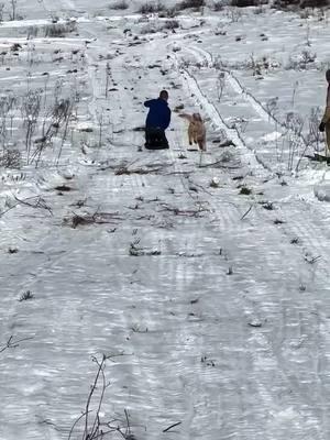 Just like riding a bull #ausleyfamilyfarms #farmlife #farmtok #bullrider #cowboy #snowday 