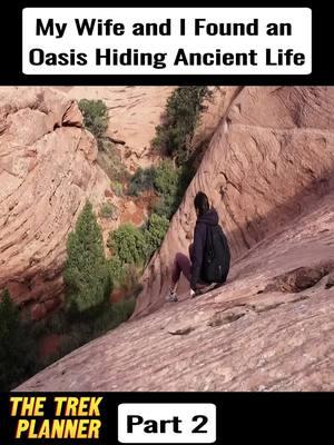 My Wife and I Found an Oasis Hiding Ancient Life P2 #explore #googleearth #ancienthistory #discover #trekking #foryoupage❤️❤️ #fyp #foru #petroglyphs #maps #data #archaeology #geography #cartography #ancientruins