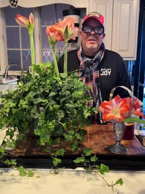 Alright y’all, let’s get to planting! #planters #winterplanting #winterblues #winterhappiness #keepingbusy #plantingwithjeffrey #ivy #amaryllis #ferns #jeffreysurlesdesigns #jeffreysurlesliving 