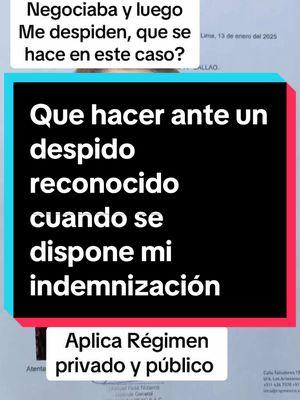 Que sucede si mi empleador me despide y dispone pagar mi indemnización por el despido arbitrario pero no estoy de acuerdo?#abogada #abogadalaboralista #beneficiossociales #despido#regimenprivado #regimenpublico