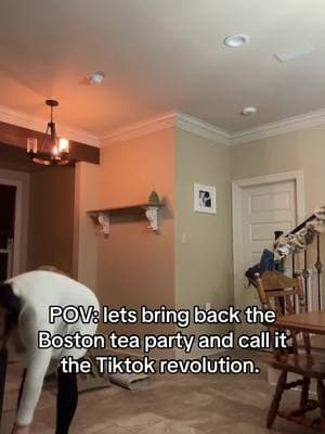 CAN WE BRING BACK THE BOSTON TEA PARTY AND CALL IT THE TIKTOK REVOLUTION #overthrowthegovernment #tiktokban #dontgo