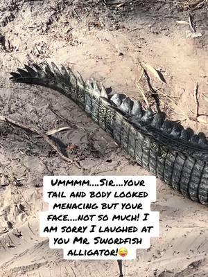 #floridalife #florida #floridavibes #floridaliving #floridacheck #tampa #tampafl #tampaflorida🌴 #tampazoo #zootampa #zoo #wildlife #wildlifelover #wildlifelovers #gharial #indiangharial #gharialsoftiktok 