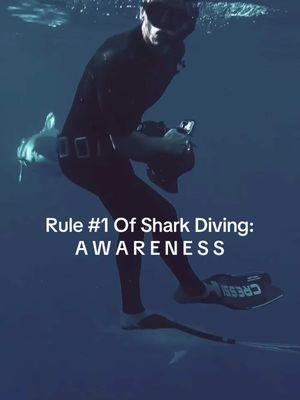 As a professional shark diver, I’ve learned that awareness is the most vital skill you can have in the water. Sharks are powerful, curious creatures, and understanding their behavior is key to safe and respectful interactions. Being aware of your surroundings—reading the sharks’ body language, staying calm, and recognizing how your movements can influence their reactions—creates a safer environment for both divers and the sharks. It’s not about controlling the situation but respecting it. Every diver should remember that we’re stepping into their world, and awareness ensures that we coexist peacefully while breaking down the harmful stereotypes that threaten these incredible animals. @Ocean Ramsey Sharks @OneOceanDiving  #sharks #sharkdiving #oahu #hawaiitravel #sharktours #safety #a 