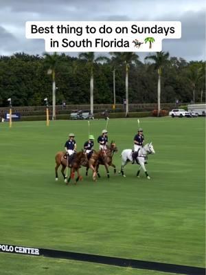 Polo season is back in The Palm Beaches! 🐎✨ Experience the thrill of Sunday matches and indulge in a chic brunch at the National Polo Center, now through April 27. Whether you're here for the fashion, the action, or the delicious bites, it's the perfect way to spend a Sunday. 🌟🥂   #ThePalmBeaches #LOVEThePalmBeaches #florida #visitflorida #lovefl #soflo #florida #polo #nationalpolocenter #sundaybrunch #mustseeflorida #palmbeachpolo #equestrianlife #poloseason #horselover #floridaevents 📍 Wellington, FL 📽️ @nationalpolocenter