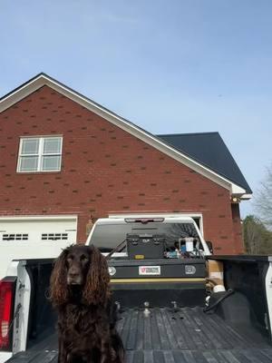 Best bud 🐾#boykinspaniel #boykin #buddy #dogsoftiktok #gm #plumbing #dog #foryourpage #fypシ゚viral #fypシ #forever #duck #duckdog #rtic #cold #heyday #flsplumbing #boykinspanielsociety 