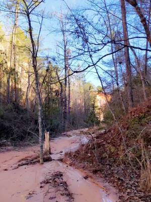 didn't make many videos for this trip because it was just so much better in person 🫶#traveltiktok #Outdoors #canyons #georgia #canyon #nature #providencecanyon #Hiking #travel 