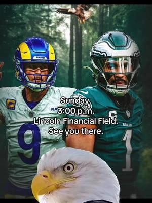 The Hunt continues #eagles #NFLPlayoffs #divisionalround #nfl 