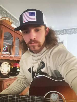 Been sitting in drafts for a hot minute “I hope it snows” #original #acoustic #appalachia #snowchallenge #fyp #taylorguitar 