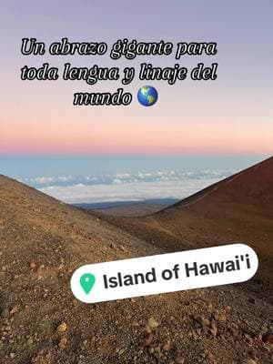 Camino sin prisa 😂 disfrutar es aprovechar el tiempo donde estamos, no hay nada que preocuparse. #tiempo #parami #seguidores #peluche #oficial #amo #lavida #recursos #hawaii #oceano #isla #temereceslomejor #sol #arena #agua #aire #mana #dios #gracias #🙏 #contenido #viralvideo 