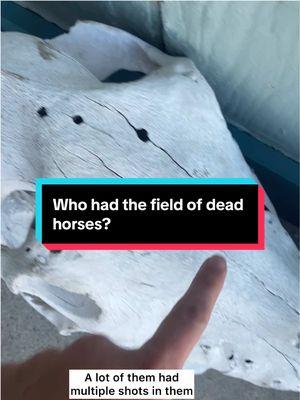 Replying to @Lighteyewolf FULL EXPLANATION What I know about the former owner of the field where I found all the dead horses. I took them so they wouldn’t get destroyed or crumble to dust and spent a lot of time cleaning them. #vultureculture #bones #horses #wyoming #missingpersons 