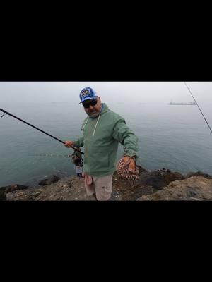 saludos amigos pescadores #siguenos_en_youtube  ##pescadepulpo #Viral  #surfishing #foryou  #pescaycocina #familia  #pescaycocina #fishing  #welcome2025🎊 