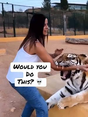 🤔🤯 What would you do? #djwhookid #tiger 🐅 #whooshousepodcast 