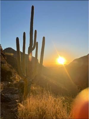 Just living it up Tucson, AZ! #trekking #solohiker #8miles #nativetiktok #nativetiktok #indigenioustiktok #nativefitness #gym #freshair #hikingtiktok #sunset #az #newyear #2025 #desert #navajotiktok 