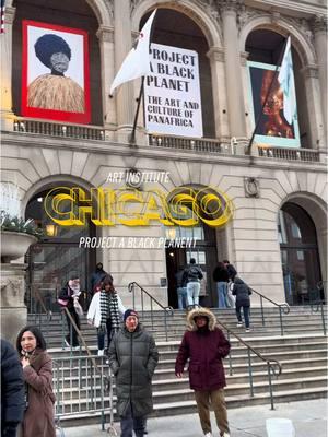 This exhibit was just too good 🖤 When’s the last time yall been to the Art Institute? #chicagotiktok #chicagogirl #dateideas #sundayfunday #blackartist #art #tourist