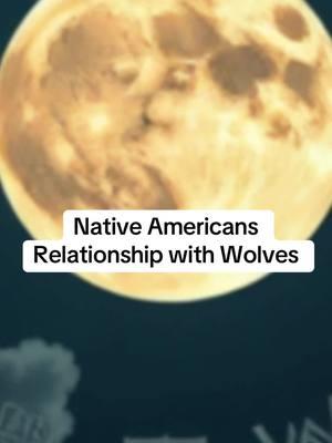 Native Americans Relationship with Wolves. Native American Native Americans Native American History History of Native American Native American Tribes Native American nations  Native American culture Native American heritage  #nativeamericans #nativeamericanhistory #nativeamericanpride #nativeamericanheritage #nativeamericanpeople #nativeamericantok #americanindian #americanindians  #nativewolves #wolfmoon #wolves 