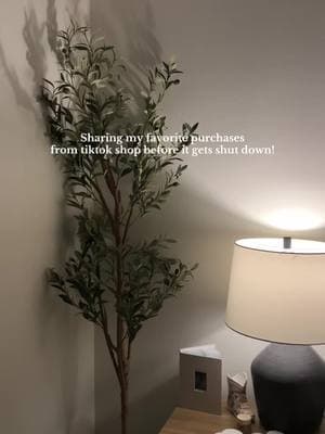 This olive tree makes every room feel so homey🫶🏼  #olivetree #fauxtree #TikTokShop #tiktokshopfinds #homedecor #Home #homedecorideas #homedecortiktok 