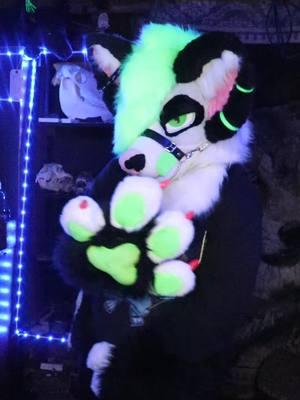 rave girl 💚 #fyp #foryoupage #fypシ #tiktokfurry #fursuit #furry #furryfandom #fursuiter #fursuiting #furrytiktok #tiktok  #fursona #furries  #furrytiktoks #foryoupage  #furrytrash #art #fursuithead #emogirl #emo #alternative #gothgirl #goth #emoboy #alternativegirl #scenegirl #scene #emohair #altgirl #emostyle  #egirl #gothic #emoscene #scenehair #emokid  #punk #aesthetic #sceneboy #scenekid    #emogirls  #cute 