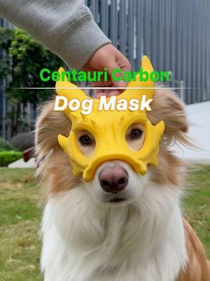 It's Dress Up Your Pet Day!! We printed a mask for our colleague’s beloved border collie, Duomi! Awww he is so cuteee!!  Comment if you want this 3D file 👇 Printer used: ELEGOO Centauri Carbon #DogMask #BorderCollieStyle #PetFashion #DressUpYourPetDay  #elegoo #3dprinting #centauricarbon