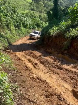 #vidadeperros #viral #familiasamayoa #chingaderasgt #parati #apoyame❤👍❤ #guatemala🇬🇹 #toyoterosdecorazon❤🙏💪🌍👈 #toyotahilux👑 #hiluxgt🇬🇹 #hilux4x4 #4x4offroad #4x4toyota #hiluxtutata 