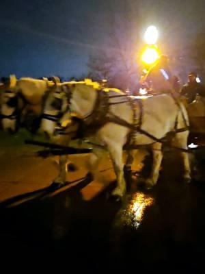 Holiday Lights Henry Ford.  #holiday #2024 #kacarli💙 #henryford #family #fun #streetview #wagonride #horses #horse #myspace 