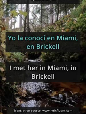 English Translation of 🎶 VOY A LLeVARTE PA PR by Bad Bunny 🇵🇷 (source: LyricFluent app 📲) #learnspanishwithmusic #learnspanishthroughmusic #learnspanishwithsongs #learnspanish 