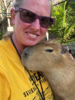 Don’t forget to follow us! #amazinganimalsinc #capybara #capybaratiktok #babycapybara #follow #fyp 