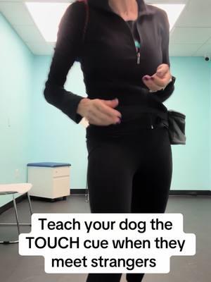 #fyp #dogsoftiktok #dogtrainer #positivereinforcement #puppytips #florida #fearfree #jumpingdog #kidsanddogs #veterinarian 