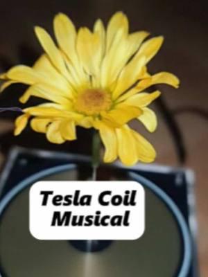 Touchable Tesla Coil for those science curious kiddos. #giftsforher #holidayhaul #giftideas #tiktokshopholidayhaul #giftsforhim #giftsforkids #teslacoil  