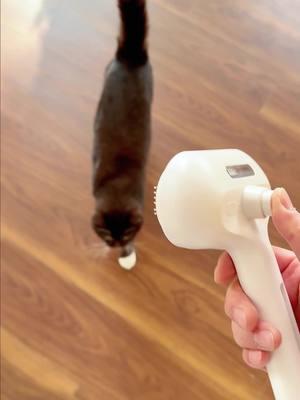 Eliminate your cat's odors while shedding even more loose fur—it's a total game-changer for grooming!#cat #fyp #cats #TikTokShop #spraycomb #catpick 