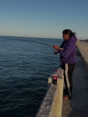 Sheepshead Sheepshead 🎣 #skywaymisfits #fish #fishing #sheepeto #sheephead #reelqualitysra #sharkvato #bridgemonsters #seaguarfluorocarbon #tampabay #skywaybridge #Skyway #fishinglife #fishingtrip #fisherman #fishtok #fishingtiktoks #fishingdaily #fishingvideos