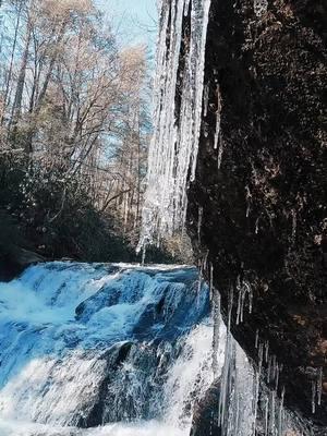 Nature Vibes in Georgia - Dicks Creek Falls - Walking in Nature  #waterfall #waterfalls #nature #naturevibes #naturelove #naturelover #naturelovers #calming #positivevibe #peaceful #goodvibes #longwaydown #forest #forestvibes #photography #beauty #fyp #takeawalk #explore #trail #Hiking #hike #Outdoors #trails #lovetrails #positivevibes #natureisbeautiful #meditation #aestheticnature #timepass #lostworld #meditate #trailspinexplorer  #hiddengems 