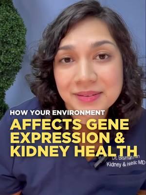 🧬 How Epigenetics Influences Kidney Disease 🧬 Your lifestyle and environment can switch genes on or off, impacting kidney health. Discover how making healthy choices and understanding your genetic profile can help prevent and manage kidney disease. Tap the link in our bio to learn more about personalized care at the Kidney Institute! #Epigenetics #KidneyHealth #WellnessJourney #RootCause