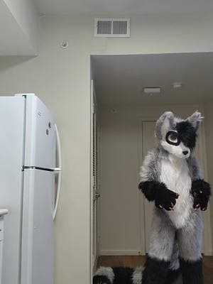 #fursuit #fursuits #fursuiter #fursuiters #fursuiting #furry #furries #fursuitersoftiktok #fursuitsoftiktok #furriesoftiktok #raccoon #raccoons #raccoonsoftiktok #raccoonfursuit #raccoonfursuiter #rokidokirockstar #fyp #foryou #foryoupage #trending 