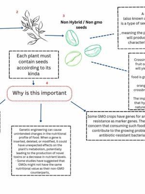 Hybrids seeds #health #presenceofeden #massfollowing #healthyfood #herbs #minerals 