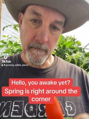 Spring will be here before you know it wake up#tiktokgardeners #vegetablegarden #growfood #hoophousegrowing #gardening #tiktokgardener #vegetables #gardensoftiktok #seedcatalog 