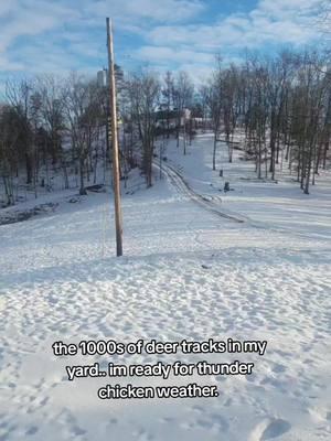 deer tracks for days  #fypシ゚viral #fyp #bowhunter #publiclandhunter #shedhunter #deerhunter 