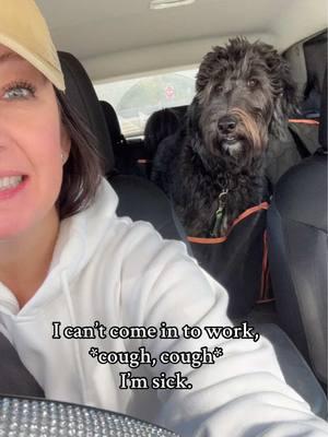 we took a drive🚗🐾 #fyp #fypシ #dogsoftiktok #dogmomlife #skippedwork #justagirlandherdogs 